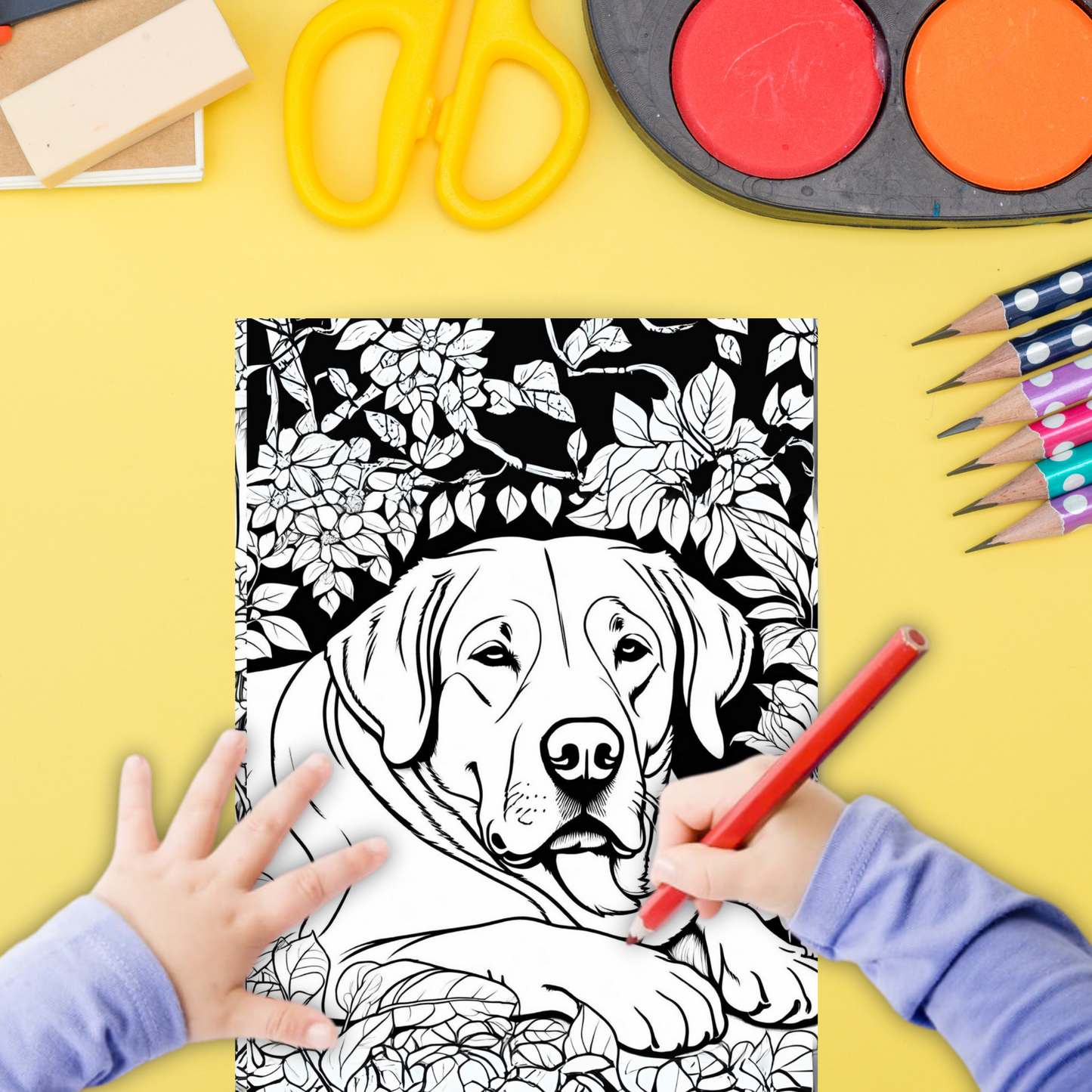Labrador colouring sheet pack - 5 designs, 20 sheets, dog mum gift, Kids and Adult colouring pack