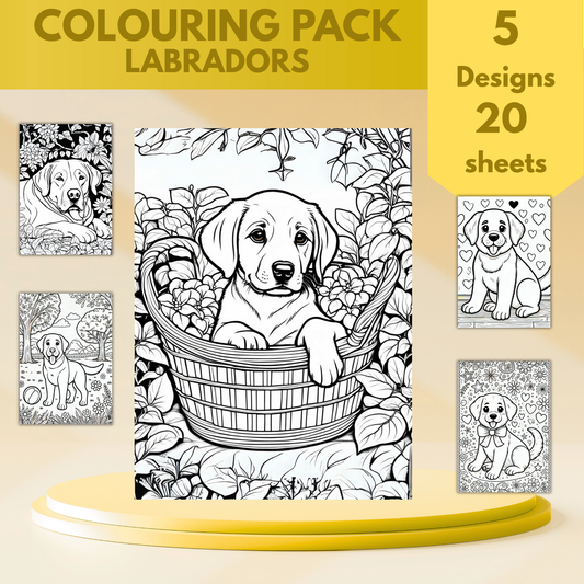 Labrador colouring sheet pack - 5 designs, 20 sheets, dog mum gift, Kids and Adult colouring pack